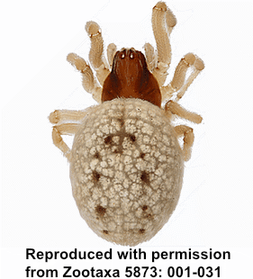 speciesimage