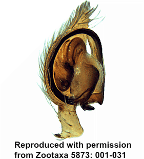 speciesimage