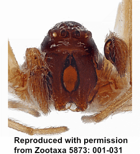 speciesimage
