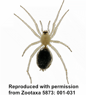 speciesimage