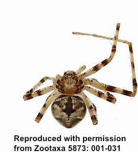 speciesimage
