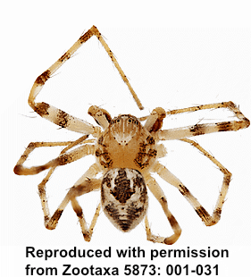 speciesimage