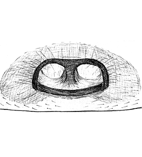 species