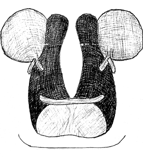 species