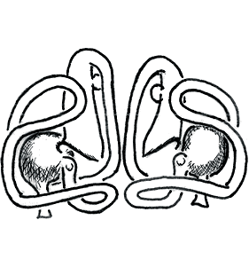 species