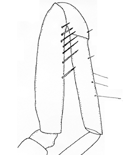 species